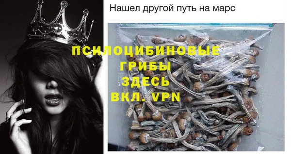 MDMA Богородицк